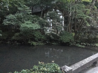 IMG_3942.jpg