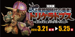 tricera_banner.jpg